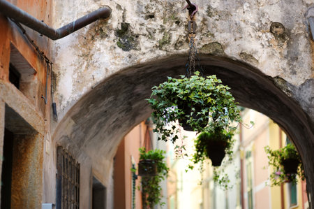Beautiful flower pots on the street of Manarola, nestled in the middle of the five centuries-old villages of Cinque Terre, located on rugged northwest coast of Italian Riviera, Liguria, Italy.の写真素材