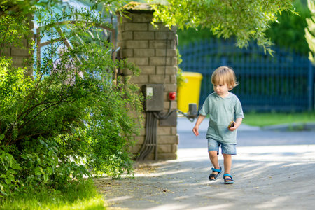 Adorable toddler boy having fun outdoors on sunny summer day. Child exploring nature. Summer activities for small kids.の写真素材