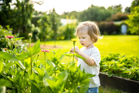 Adorable toddler boy having fun outdoors on sunny summer day. Child exploring nature. Summer activities for small kids.の写真素材
