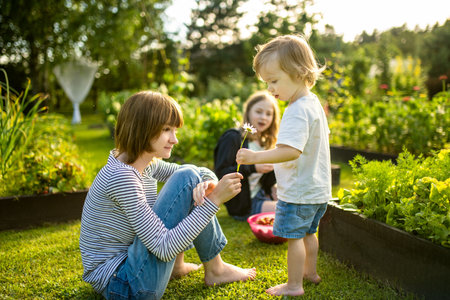 Two big sisters and their toddler brother having fun outdoors. Two young girls holding baby boy on summer day. Children with large age gap. Big age difference between siblings. Big family.の写真素材