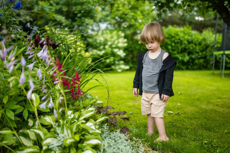 Adorable toddler boy having fun outdoors on sunny summer day. Child exploring nature. Summer activities for small kids.の写真素材