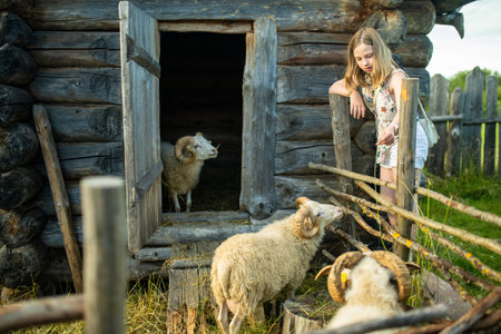 Adobrable teenage girl having fun feeding sheep in a small petting zoo outdoors. Summer activities for kids. Feeding animals.の写真素材
