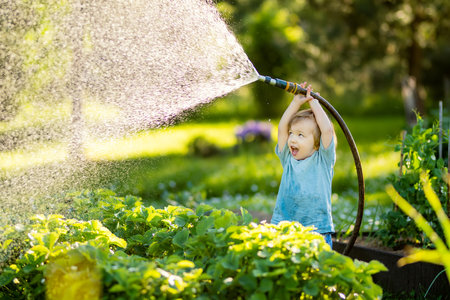 Cute toddler boy watering flower beds in the garden at summer day. Child using garden hose to water vegetables. Kid helping with everyday chores. Mommys little helper.の写真素材