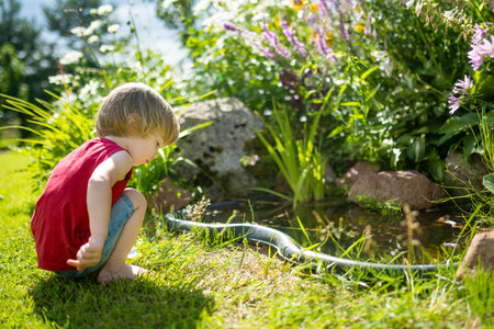 Adorable toddler boy having fun outdoors on sunny summer day. Child exploring nature. Summer activities for small kids.の写真素材