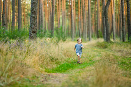 Adorable toddler boy having fun during a hike in the woods on beautiful sunny summer day. Active family leisure with kids. Child exploring nature.の写真素材