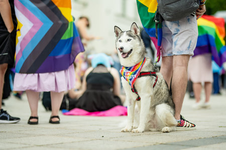 VILNIUS, LITHUANIA - JULY 1, 2023: Happy cheerful people participating in Vilnius Pride 2023 parade, that took place in Vilnius Old Town. Event celebrating lesbian, gay, bisexual, LGBTI culture pride.のeditorial素材