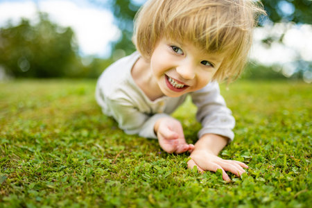 Adorable toddler boy having fun outdoors on sunny summer day. Child exploring nature. Summer activities for small kids.の写真素材