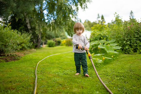 Cute toddler boy watering flower beds in the garden at summer day. Child using garden hose to water vegetables. Kid helping with everyday chores. Mommys little helper.の写真素材