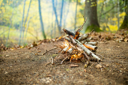 Forest bonfire. Having fun at a camp site with family and friends. Fun activities in autumn.の写真素材