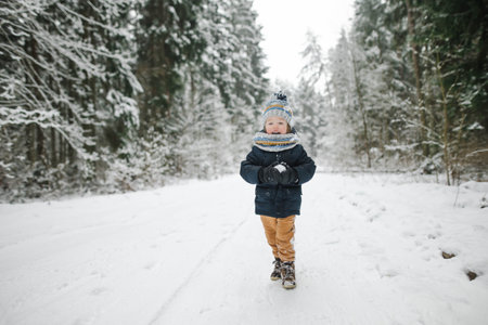 Cute toddler boy having fun on a walk in snow covered pine forest on chilly winter day. Child exploring nature. Winter activities for small kids.の写真素材
