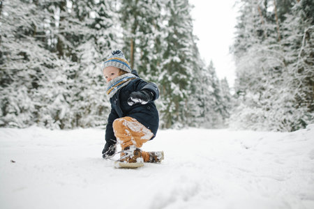 Cute toddler boy having fun on a walk in snow covered pine forest on chilly winter day. Child exploring nature. Winter activities for small kids.の写真素材