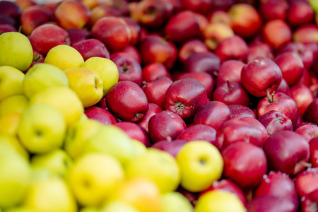 Fresh red and yellow apples in wooden crates sold on farmers food market during annual spring fair in Vilnius, Lithuaniaの写真素材