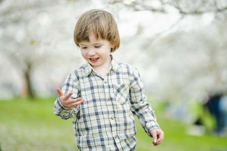 Cute toddler boy playing in blooming cherry tree garden on beautiful spring day. Adorable baby having fun outdoors. Kid exploring nature.の写真素材