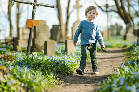 Cute toddler boy admiring blue scilla siberica spring flowers blossoming in April in Bernardine cemetery, one of the three oldest graveyards in Vilnius, Lithuania.の写真素材