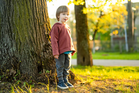 Adorable toddler boy having fun outdoors on sunny summer day. Child exploring nature. Summer activities for small kids.の写真素材