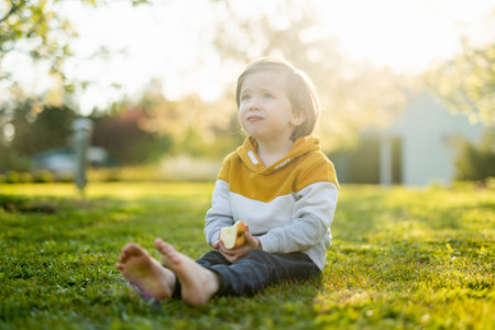 Cute toddler boy playing outdoors on sunny spring day. Child exploring nature. Spring activities for small kids.の写真素材