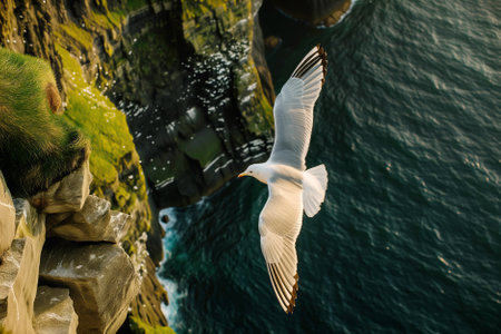Seagulls flying above rough sea cliffs in scenic Irish landscape. Wild birds of west coast of Ireland, dramatic sunset. Generative AI.の素材