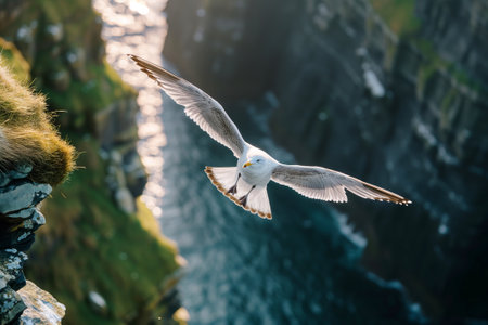 Seagulls flying above rough sea cliffs in scenic Irish landscape. Wild birds of west coast of Ireland, dramatic sunset. Generative AI.の素材