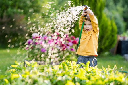 Cute little boy watering flower beds in the garden at summer day. Child using garden hose to water vegetables. Kid helping with everyday chores. Mommy's little helper.の写真素材
