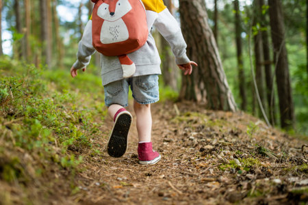 Cute little boy with a backpack having fun outdoors on sunny summer day. Child exploring nature. Kid...