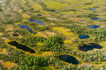 Aerial view of Seli Bog, dotted with pine trees, hollows and pools, located in Jarva county, Estonia. Unique wetland ecosystem supports diverse wildlife and is a home to unique plants and animals.の写真素材