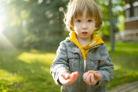 Cute little boy playing outdoors on sunny autumn day. Child exploring nature. Fall activities for...