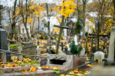Yellow fallen autumn leaves covering gravestones of Bernardine cemetery, one of the three oldest graveyards in Vilnius, Lithuania.の写真素材