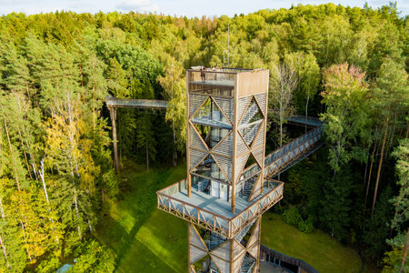 Aerial view of tree-canopy trail complex with a walkway, an information center and observation tower, located in Anyksciai, Lithuaniaの写真素材