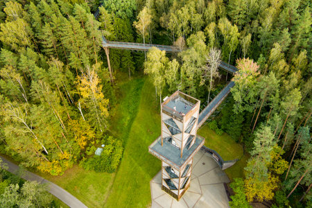 Aerial view of Laju takas, tree-canopy trail complex with a walkway, an information center and observation tower, located in Anyksciai, Lithuaniaの写真素材