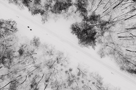 Aerial top-down view of snow covered forest. Rime ice and hoar frost covering trees. Scenic winter...