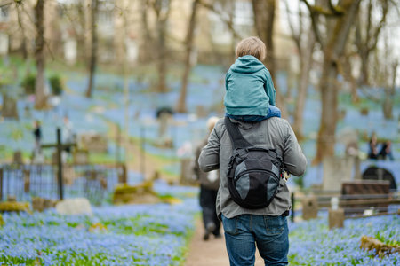 Cute little boy and his father admiring blue scilla siberica spring flowers blossoming in April in...