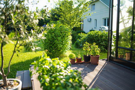 A sunlit garden with potted plants on a wooden deck, lush greenery, and a cozy house in the...