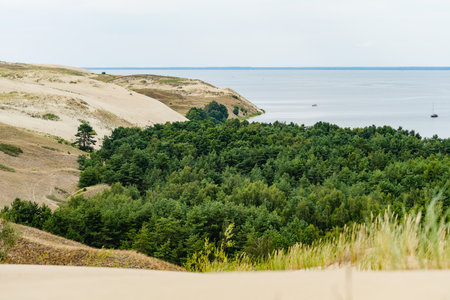 Rolling sand dunes meet dense green forest at the Curonian Spit in Lithuania, creating a stunning contrast of natural landscapes by the Baltic Sea.の写真素材