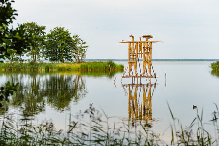 Striking straw sculptures rise from the still waters at Curonian Spit in Lithuania, blending art and nature in a peaceful, reflective lakeside setting.の写真素材