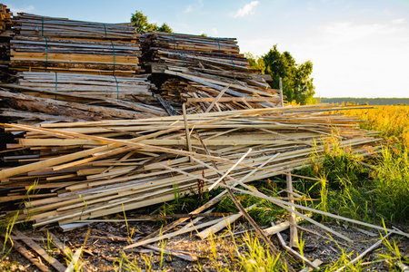 Loosely stacked pile of rough, uneven wood strips and bark-covered slats, likely wood offcuts or scrap material from milling or carpentry.の写真素材