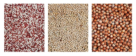 Beans, peas and hazelnuts, best for interior decoration. の写真素材