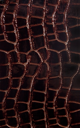 Exotic leather 