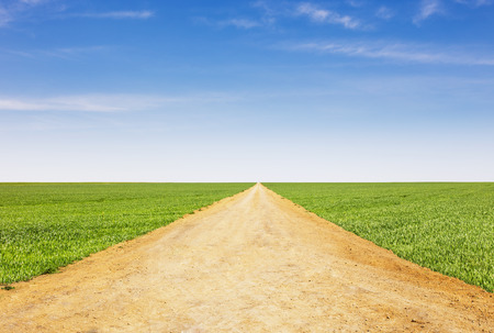 Country road through the fields