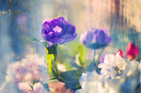 Abstract flower backgroundの写真素材