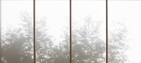 Plants shadows through windowの写真素材