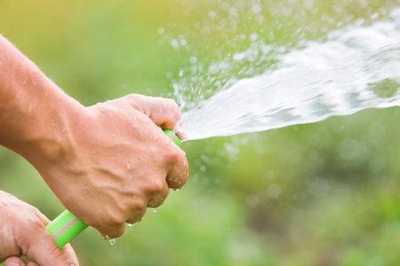 Man watering the garden from hose on sunny dayの写真素材