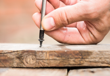 Screw screwed into wooden plank with a screwdriverの写真素材