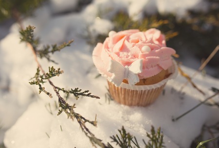 Outdoor photo of cupcake decorated with a sugar butterfly. Cupcake standing on fresh snow at sunny winter day.の写真素材