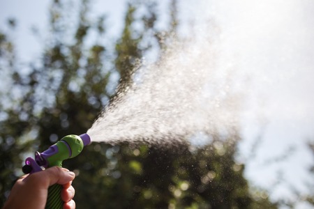 Hand with hose sprinkle watering plants in the garden.の写真素材