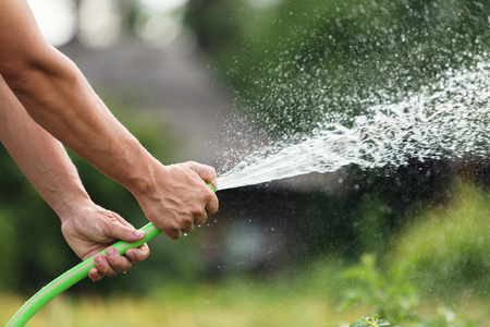 Man watering the garden from hose on sunny day.の写真素材