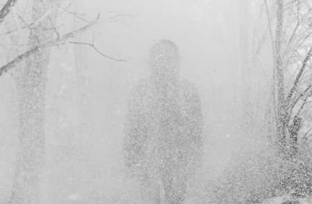 Young handsome man standing in snowfall on background of snowy forest.の写真素材