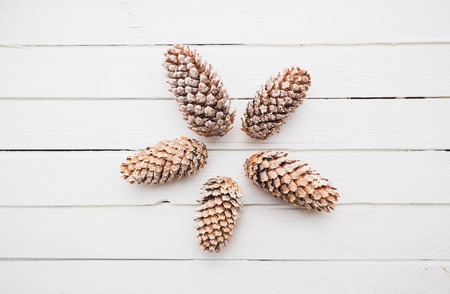 White wooden background with snow covered pineconesの写真素材