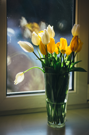 Bouquet of tulips standing at the window on a sunny dayの写真素材