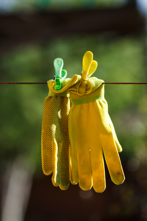 Closeup photo of yellow garden gloves hanging on a rope.の写真素材
