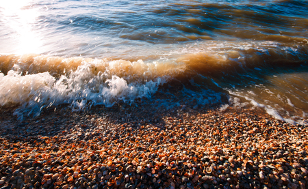 Beautiful warm sunset light over shell beachの写真素材